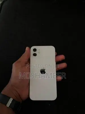 Apple iPhone 12 (Used)