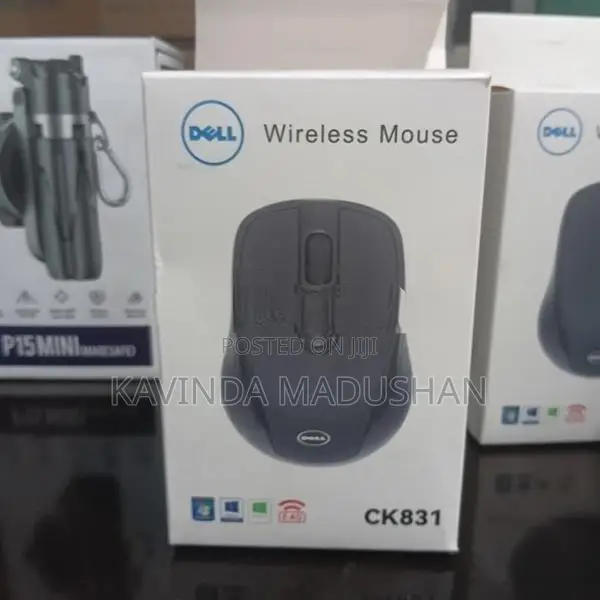 mouse