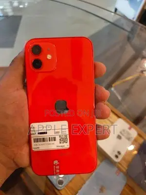 Apple iPhone 12 (Used)