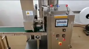 Automatic Herbal Tea Bag Packing Machine