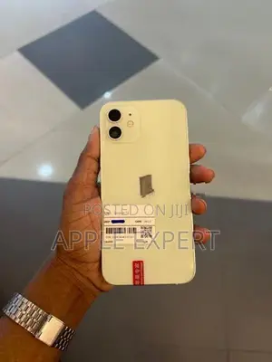 Apple iPhone 12 (Used)