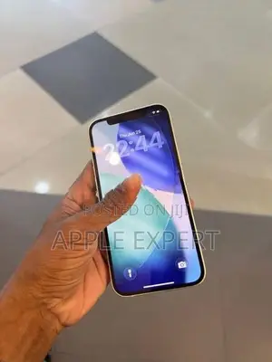 Apple iPhone 12 (Used)