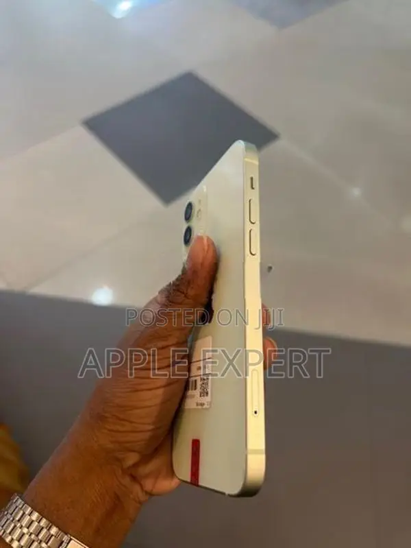 Apple iPhone 12 (Used)