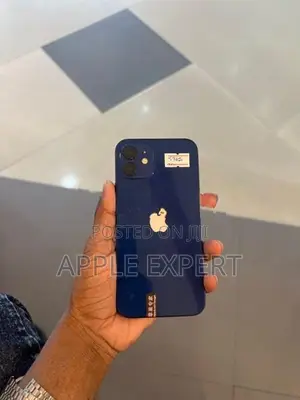 Apple iPhone 12 (Used)
