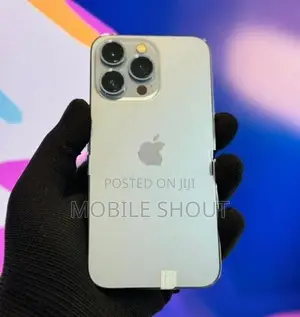 Apple iPhone 13 Pro 256GB (Used)