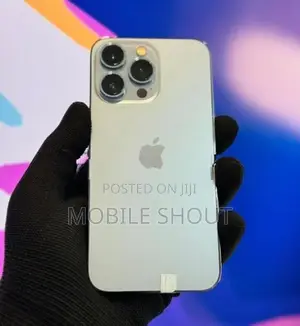 Apple iPhone 13 Pro 256GB (Used)