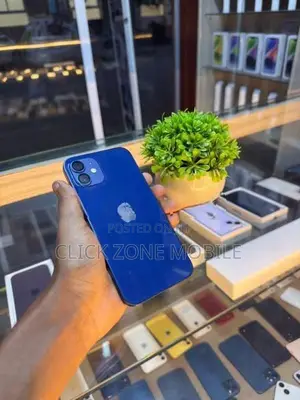 Apple iPhone 12 128GB (Used)