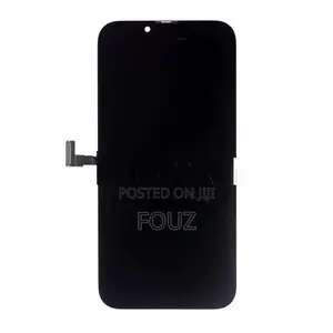 Apple iPhone 13 Pro Display