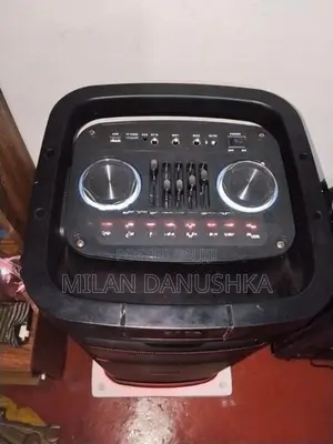 Ravo Parti Box Speaker