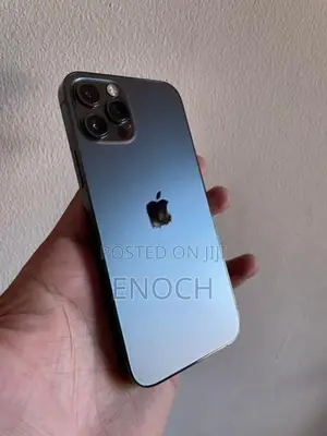 Apple iPhone 12 Pro 256GB (Used)