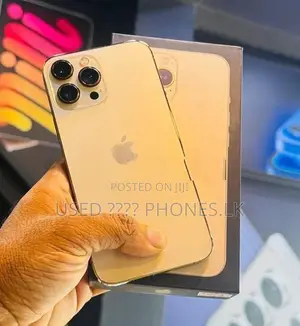 Apple iPhone 13 Pro 256GB (Used)