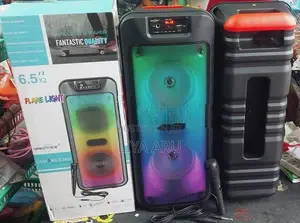 6.5*2 Inch Bluetooth Speaker GTS 1703