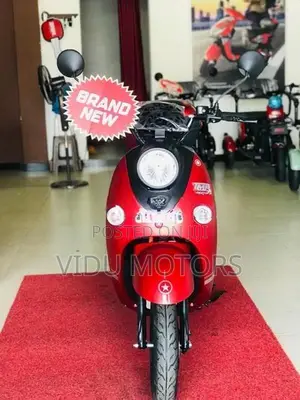 E Bike XGW 2026