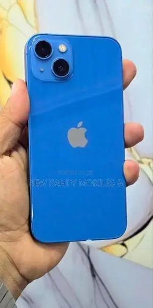 Apple iPhone 13 256GB (Used)