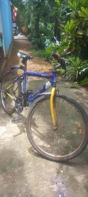 Lumala Mountain Bicycle