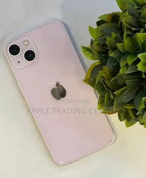 Apple iPhone 13 256GB (Used)