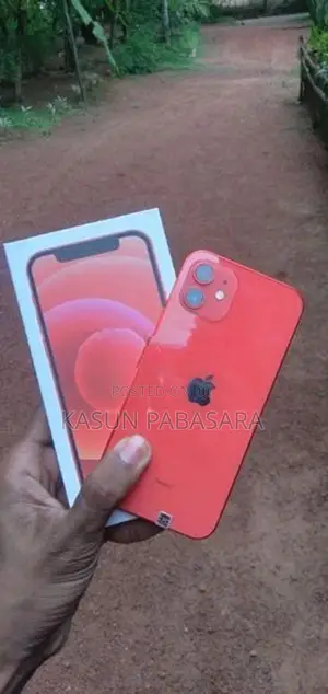 Apple iPhone 12 (Used)