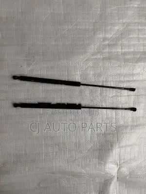 Peugeot 206 Dicky Door Shock