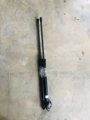 Toyota Prius 30 Dicky Shocks