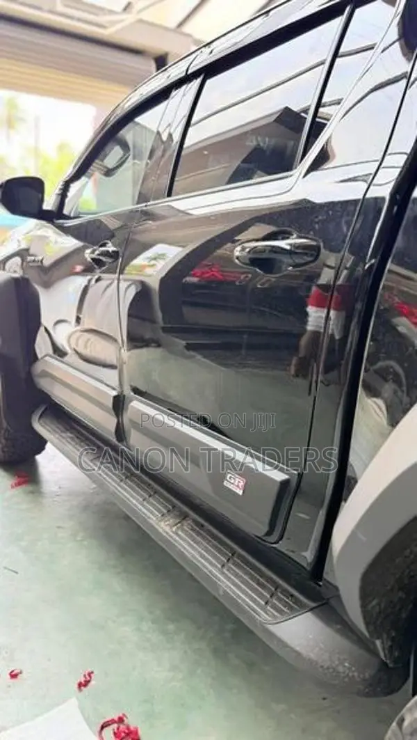Hilux Door Moulding