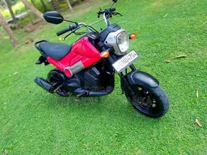 Honda Navi 2017