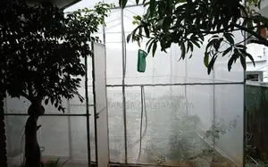 Green House