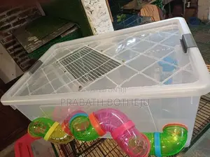 Hamster Cage Setup