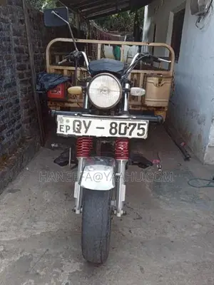 motor baike tricycle 2017