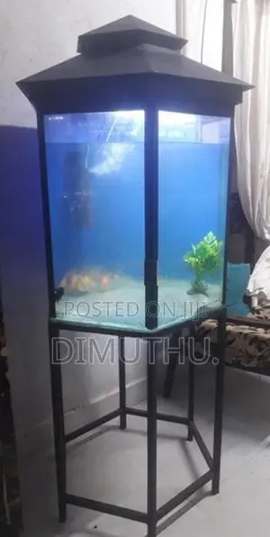 Fish Tank With Stand.