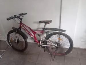 Lumstar Bicycle