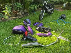 Bajaj Pulser 150 2001 parts