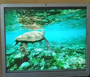 HP 19 Inch Monitor