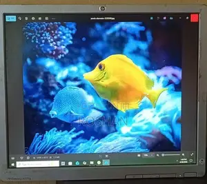 HP 19 Inch Monitor
