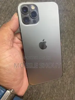 Apple iPhone 12 Pro 256GB (Used)