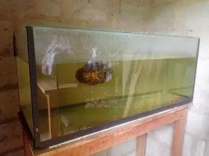 ඔස්කා ලොකු මාලුවෙකු සමග