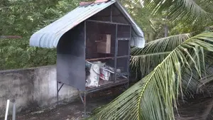 Bird Cage