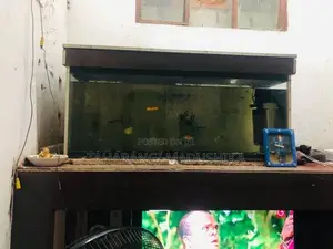 Fish Tank with