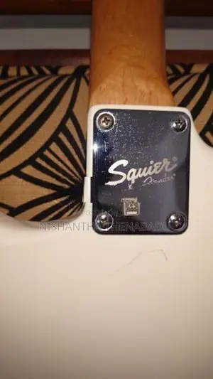 fender squier