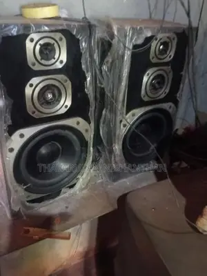 Pioneer Speaker