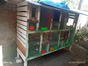 pigeons cage