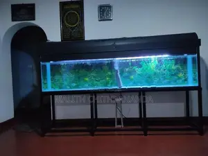 Fish Tank