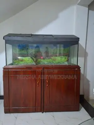 4 feet fish tank