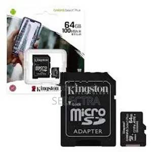 64GB Micro SD