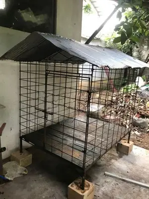 Dog Cage