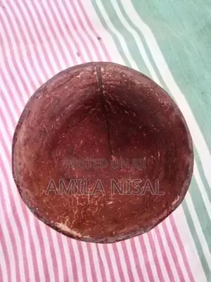 Natural Coconut Shell Cups