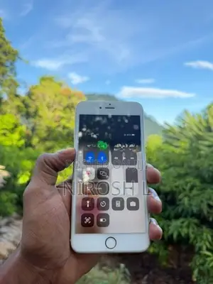 Apple iPhone 6S Plus (Used)