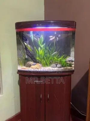 fiber fish tank