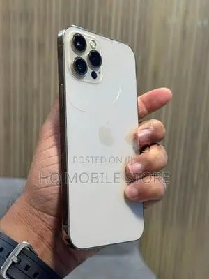 Apple iPhone 12 Pro Max 256GB (Used)
