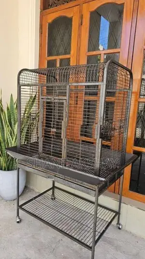 Bird Cage