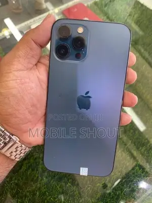 Apple iPhone 12 Pro Max 256GB (Used)